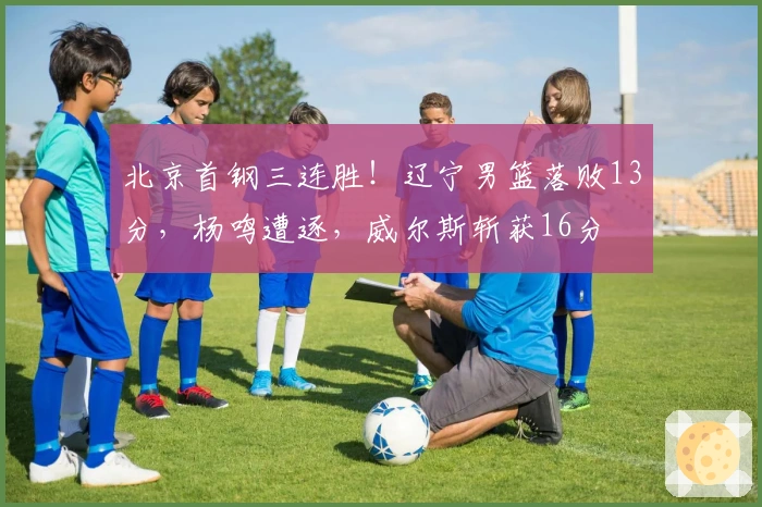 北京首钢三连胜！辽宁男篮落败13分，杨鸣遭逐，威尔斯斩获16分